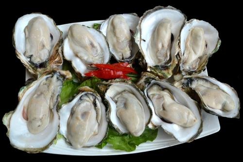 生蚝，扇贝，鲍鱼这三者区别