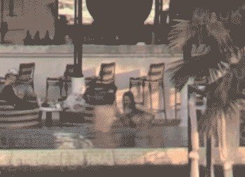 白百何被曝停工作是怎么回事？