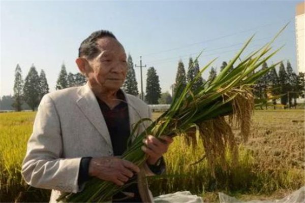 袁老夫人泪别袁隆平,两个人的感情有多感人?