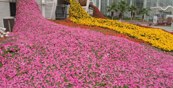 佛山周边有哪些适合2日游的地方?