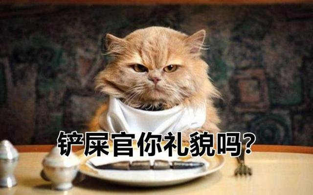 如何给猫咪减肥？