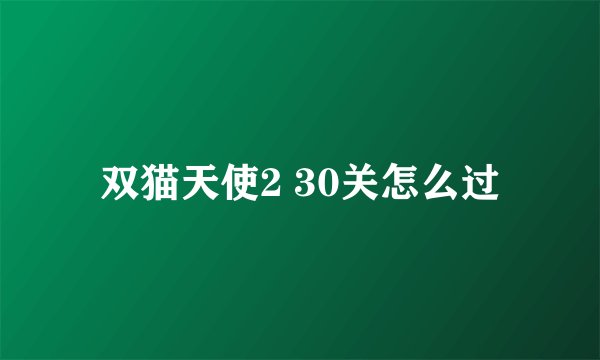 双猫天使2 30关怎么过