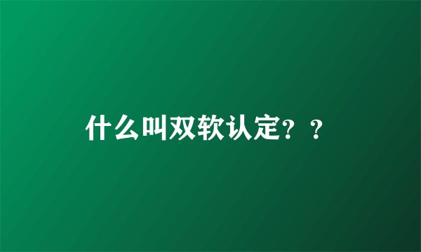 什么叫双软认定？？
