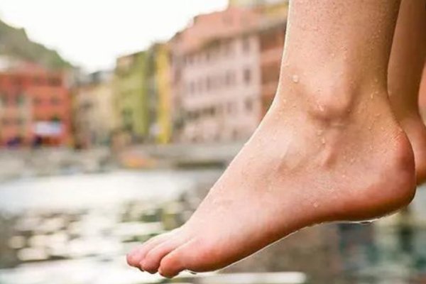 脚踝在哪里图片