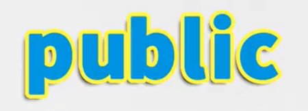 public是什么意思