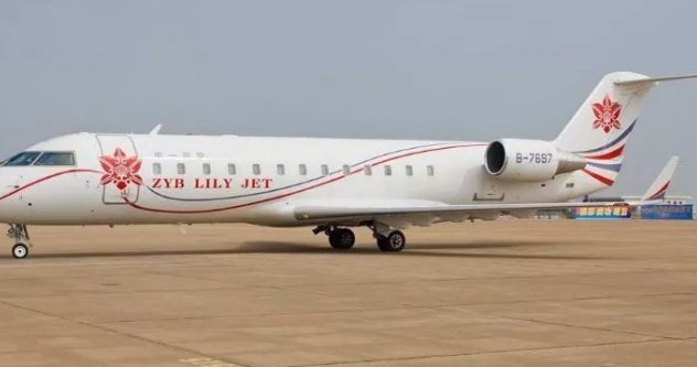 赵本山卖飞机的原因曝光,两亿飞机成累赘,半价出售为什么没有人要?