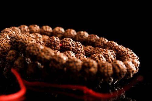 菩提是什么意思?