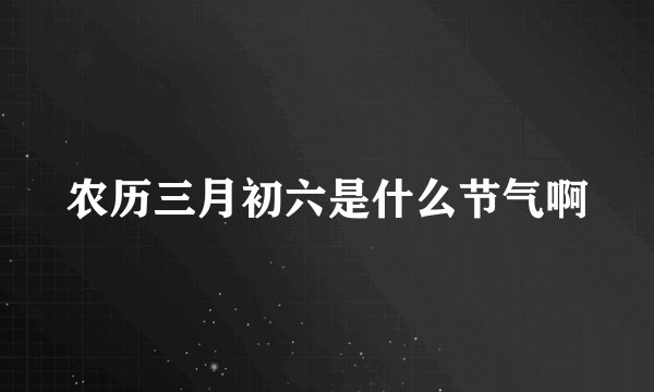 农历三月初六是什么节气啊