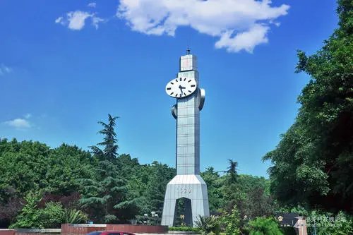 重庆大学通报女副教授坠亡,该名女教授是如何坠亡的?