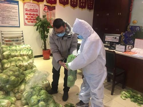 吉林一小区被质疑“摆拍送菜”，官方对此有何回应？