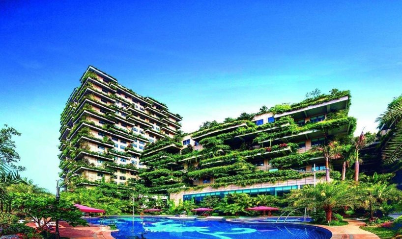 碧桂园的介绍？？