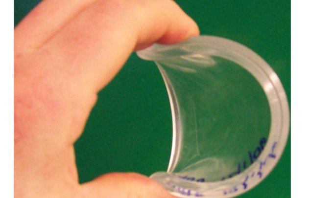 韧性是什么意思呢?