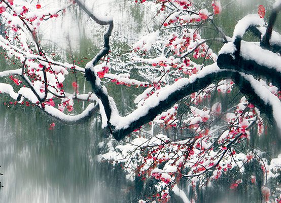 关于“大雪节气”的诗句有哪些?