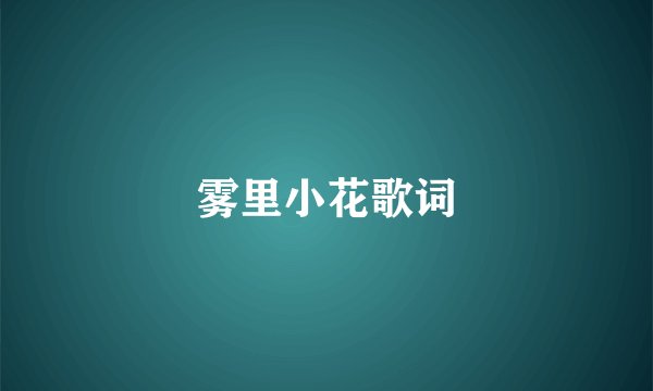 雾里小花歌词