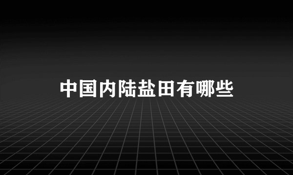 中国内陆盐田有哪些