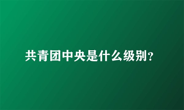 共青团中央是什么级别？