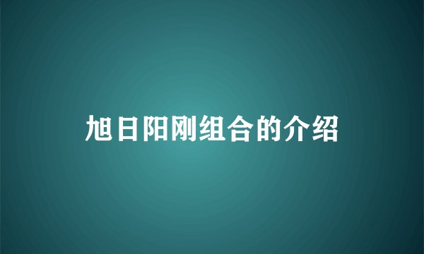 旭日阳刚组合的介绍