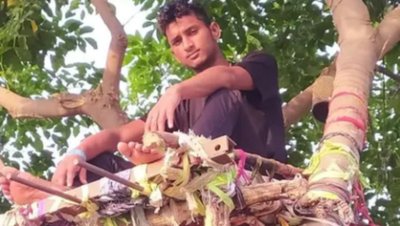 印度一男子在树上隔离11天,这是怎么回事?