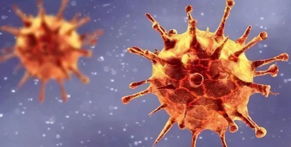 广东首现新冠病毒尼日利亚突变株,这种突变的新病毒最大特征是什么?