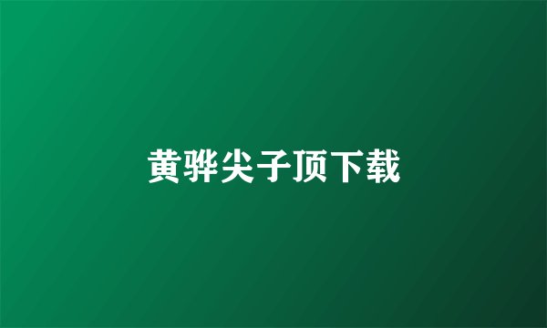黄骅尖子顶下载