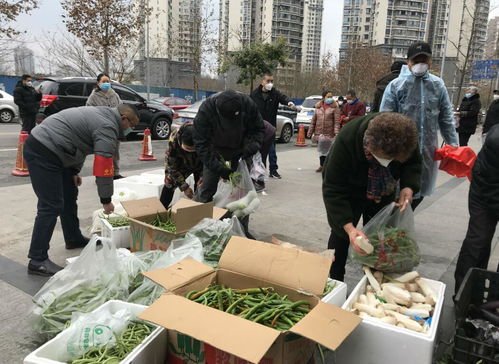 吉林一小区被质疑“摆拍送菜”，官方对此有何回应？