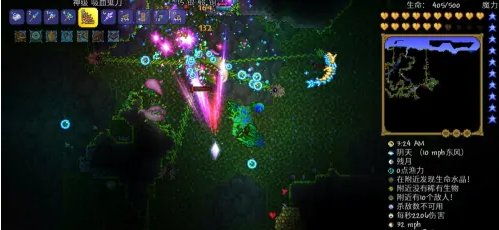 泰拉瑞亚世纪之花打法