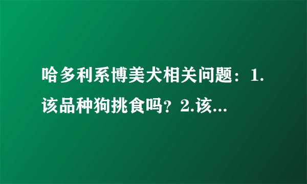 哈多利系博美犬相关问题：1.该品种狗挑食吗？2.该品种狗聪不聪明？