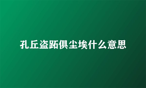 孔丘盗跖俱尘埃什么意思