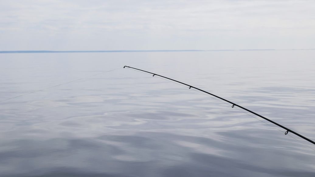 女子居家静默目睹楼上邻居钓鱼,第二天坐等截胡,结果如何了?