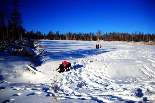 黑龙江漠河5月飞雪,这种天气在当地正常吗?