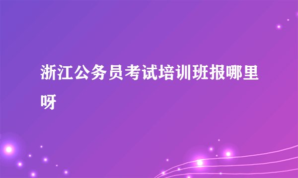 浙江公务员考试培训班报哪里呀