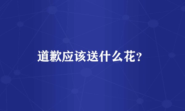 道歉应该送什么花？