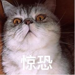 怎么确定是不是得了痛风?