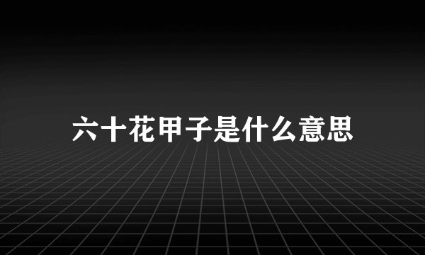 六十花甲子是什么意思