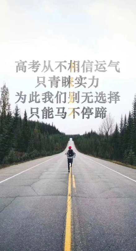 上海市杨浦区民星中学2019年本科录取率是多少？