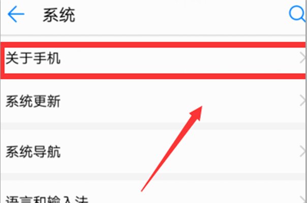开发者选项在哪里?