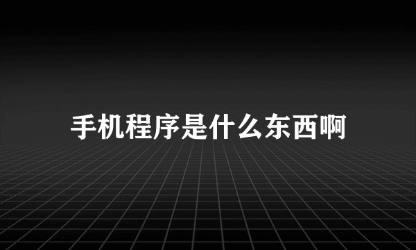 手机程序是什么东西啊