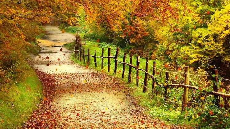 描写秋天的作文100字