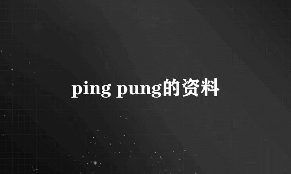 ping pung的资料