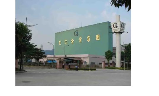 宏仁集团做什么的?