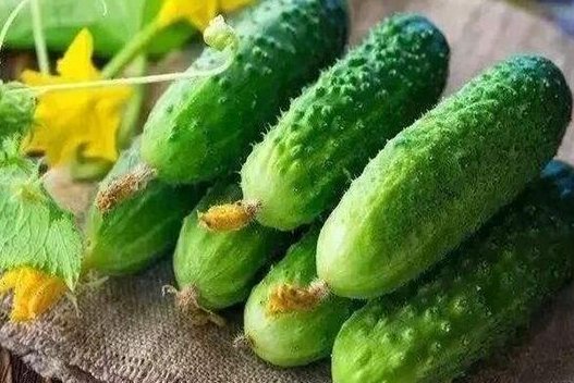 减肥的食物清单