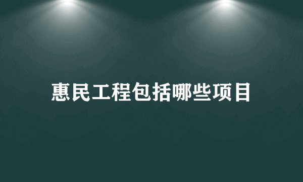 惠民工程包括哪些项目