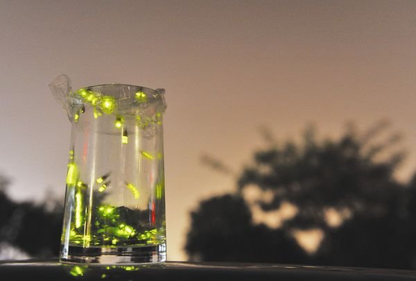 什么东西会发光？