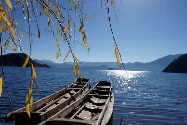 强效催眠曲一听入睡？