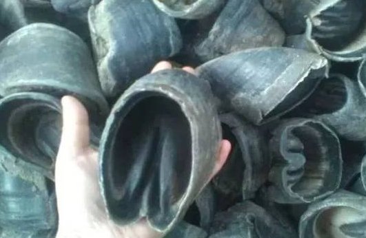 盗墓需要什么装备????