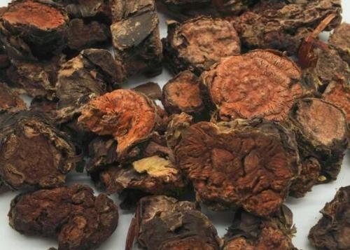 红景天的功效与作用？