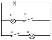 初二八上科学作业本答案