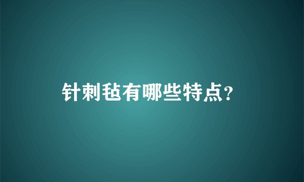 针刺毡有哪些特点？