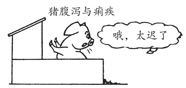 仔猪腹泻怎么办？