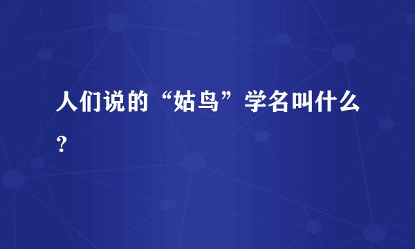人们说的“姑鸟”学名叫什么？